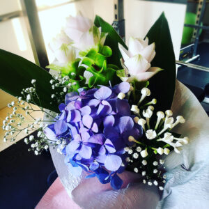 大森_ジム_紫陽花